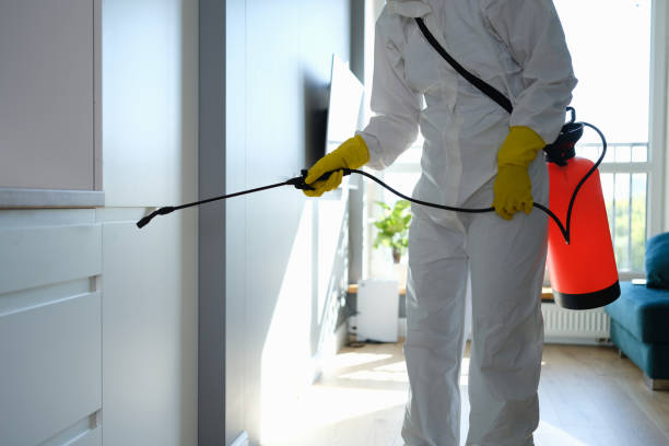 Best Home Mold Removal  in Archbald, PA